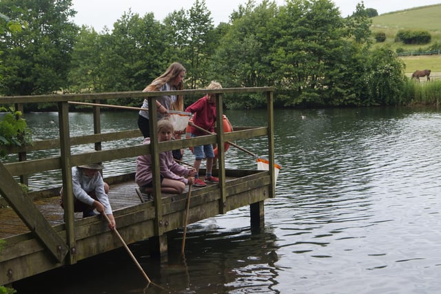 Pond dipping and water creature identification was popular with the children