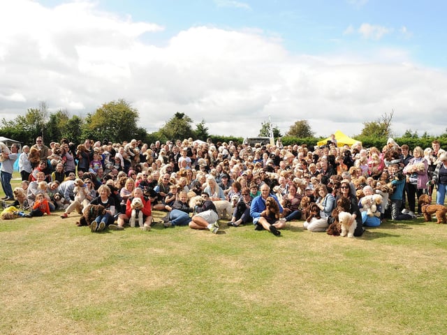 A group shot of more than 200 cockapoos with their owners, pictured at the Cockapoo Games, held across three days by The Cockapoo Club of GB at Woodland Waters, at Ancaster.