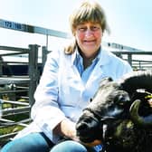 Judy Preston  with her Shetland Tup at the show.