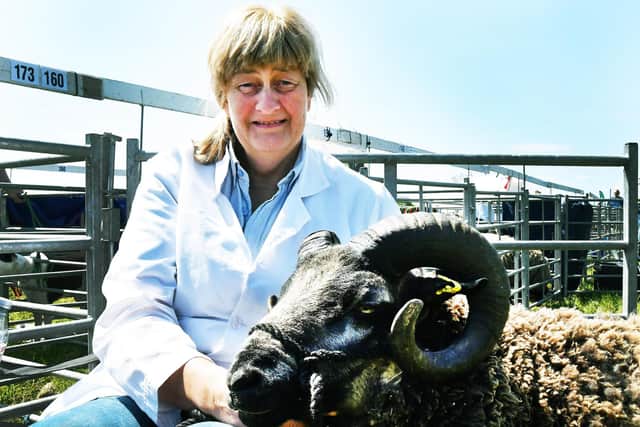 Judy Preston  with her Shetland Tup at the show.