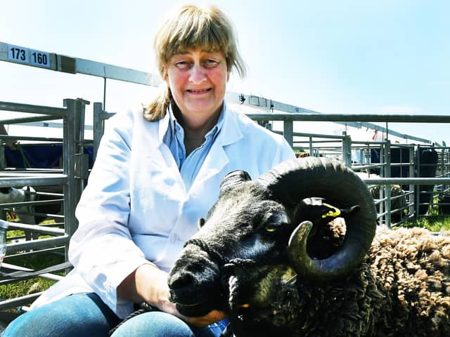 Judy Preston  with her Shetland Tup at the show.