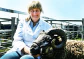 Judy Preston  with her Shetland Tup at the show.