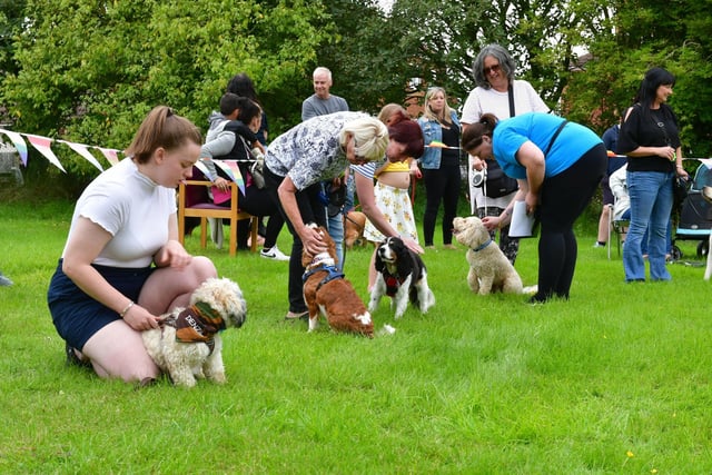 Most Handsome Dog judging at the Dog Show at Phoenix Care Centre.