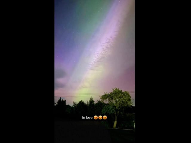 Sarah Robinson took this photograph in Frithville and captioned it 'in love'.