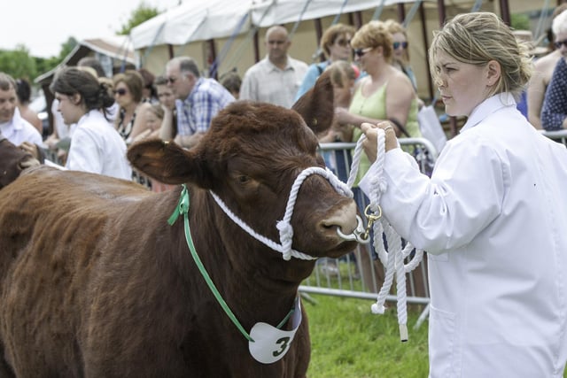 A scene from the Woodhall Spa Country Show of 2014. 'Almost perfect weather' helped produce an excellent turnout, the Horncastle News wrote at the time. “We couldn’t have asked for better,” said chairman John Michael.
