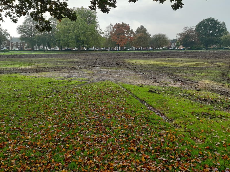Looking across the park from near the Thorold Street/Norman Avenue entrance.