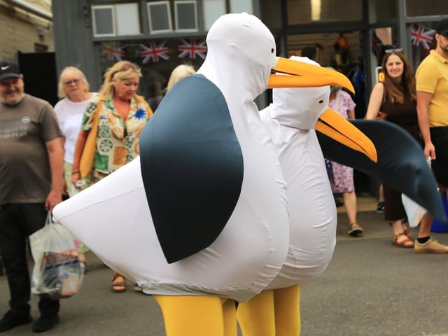 They say the seagulls at Sutton on Sea are getting bigger -- and here's the proof!