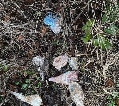 The dead birds found in a ditch at Ewerby Thorpe.