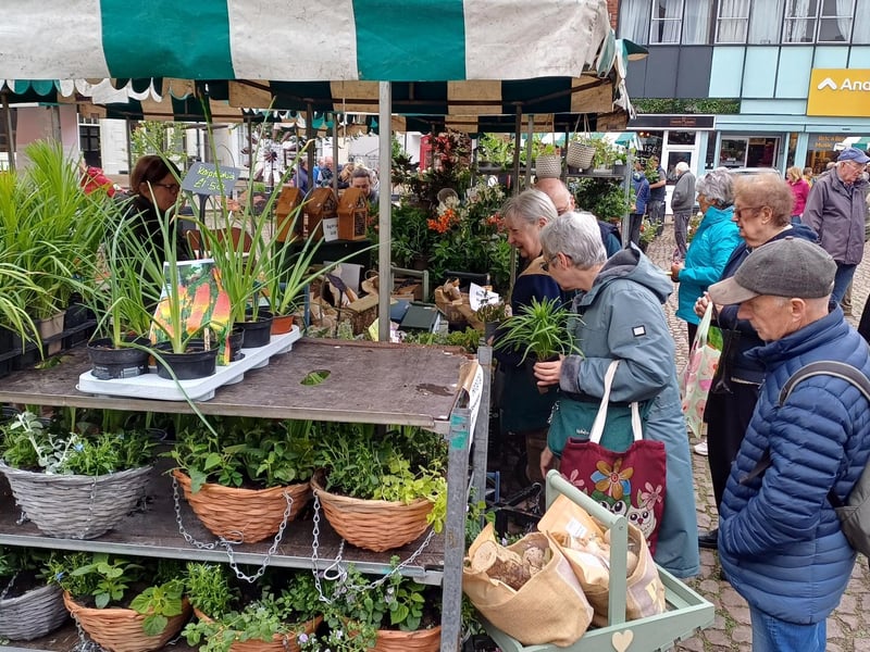 There were plants galore on the stalls