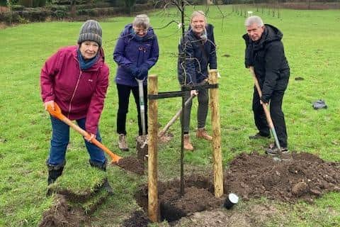 The oak tree, in memory of local historian David Robinson, is planted by Louth Civic Trust members (from left) Mary Abbott, Gill Boldy, Paula French and Ian Trowsdale.
