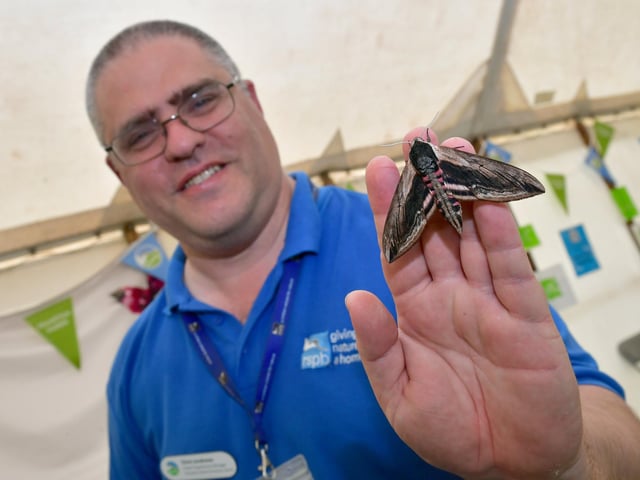 Visitor manager, Chris Andrews with a Privet Hawk Moth