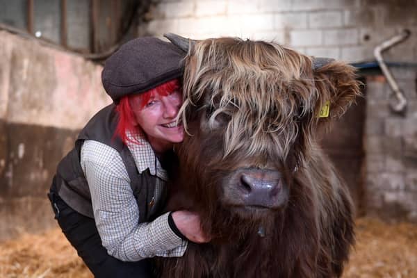 Dumble Farm owner Fiona Wilson is no stranger to cows and is delighted with the success of her 'cuddle a cow' experience which is drawing in new visitors.