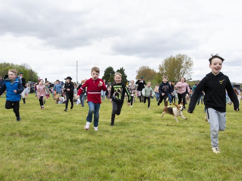 Youngsters in the basset hounds race.