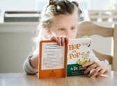 The long summer holidays are an ideal time to work with your youngster