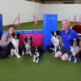 Ken and Angela, of Boston Dog Agility, and their five border collies.