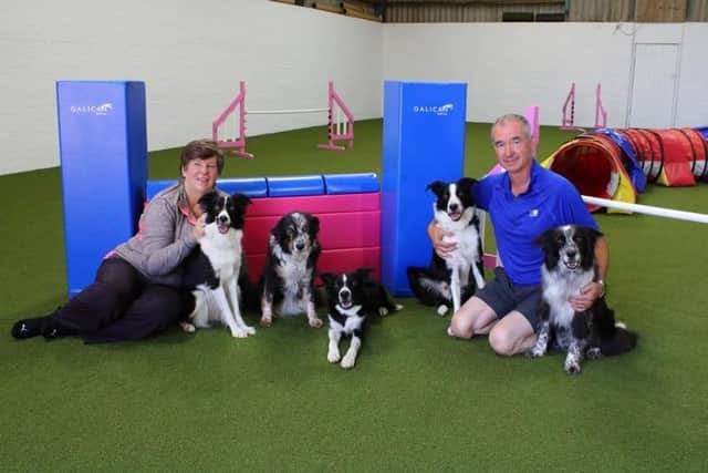 Ken and Angela, of Boston Dog Agility, and their five border collies.