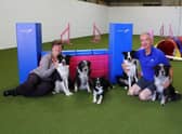 Ken and Angela, of Boston Dog Agility, and their five border collies.
