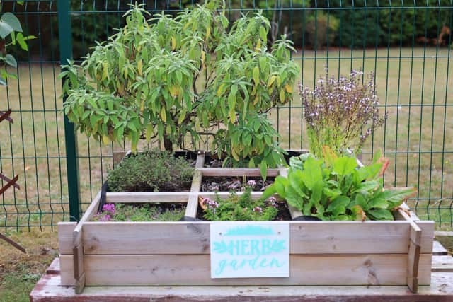 The herb garden at Hartsholme House