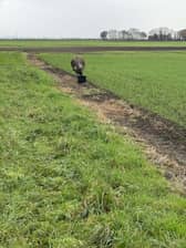 The emu has been on the loose near Spilsby for  a couple of weeks.