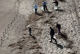 Scores of volunteers turned out to clear nodules from beach.