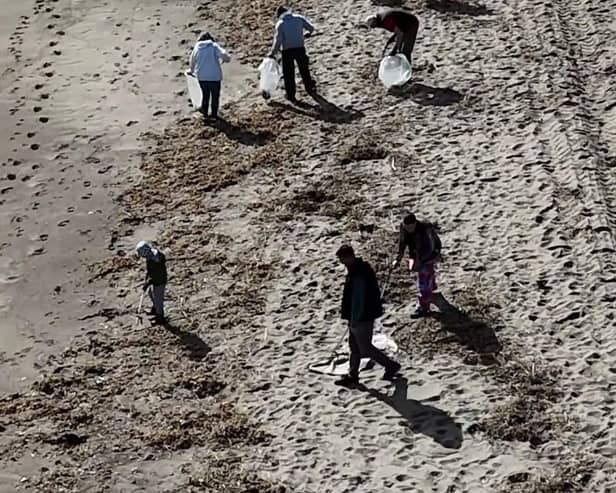 Scores of volunteers turned out to clear nodules from beach.