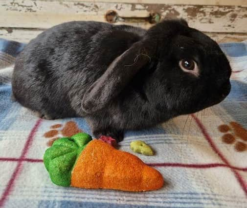 Have you seen Teddy? Missing from the Village Church Farm Museum in Skegness.