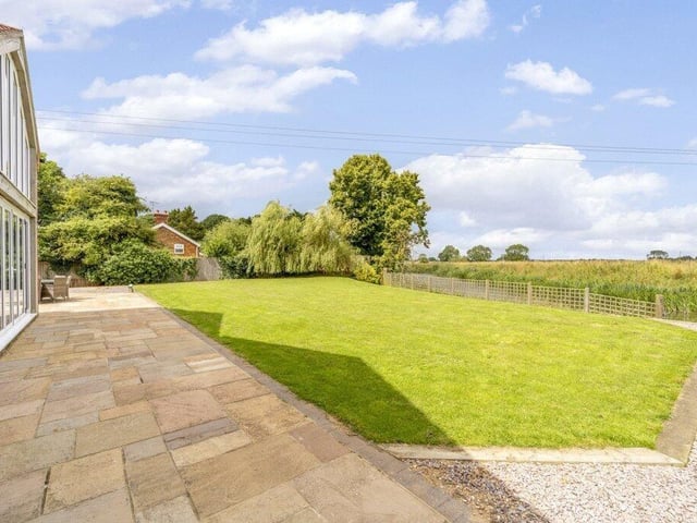 The garden.