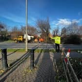 The fallen tree blocking the road on the A158 at Wragby. Photo: Charlotte Morton