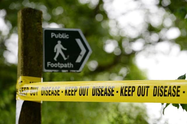 Bird flu has been confirmed in a village near Boston. Image for illustration only. Photo: OLI SCARFF/AFP via Getty Images