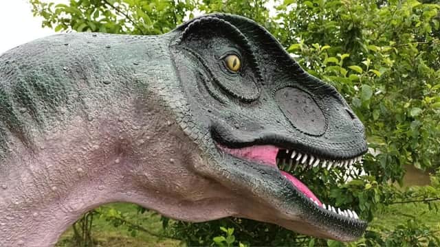 Jurassic Ark is about to open at a visitor attraction near Boston.