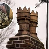 Inset: Some of the bird skeletons recovered from the chimney. Image: Soot Monkeys. Main image: A different chimney, for illustration. Photo by Getty.