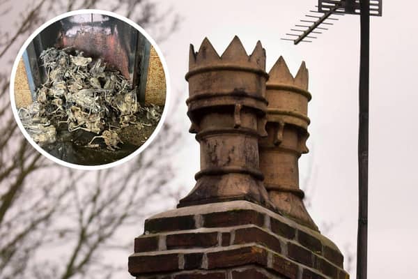Inset: Some of the bird skeletons recovered from the chimney. Image: Soot Monkeys. Main image: A different chimney, for illustration. Photo by Getty.