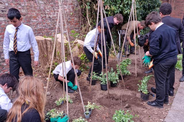 The gardening club at Boston Grammar School in action.