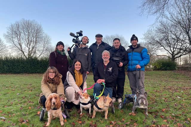 Filming for Dogs Behaving Badly. Image: Broken Biscuits