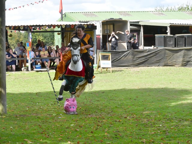 These popular displays help raise vital funds for the sanctuary.