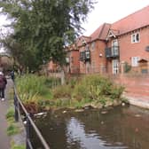 The Cut, off the River Slea at Eastbanks. A new group had hoped to site an equipment shed on it. (Archive photo)