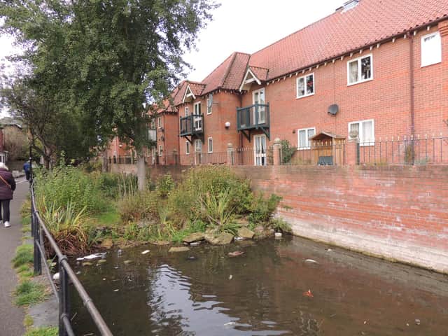 The Cut, off the River Slea at Eastbanks. A new group had hoped to site an equipment shed on it. (Archive photo)