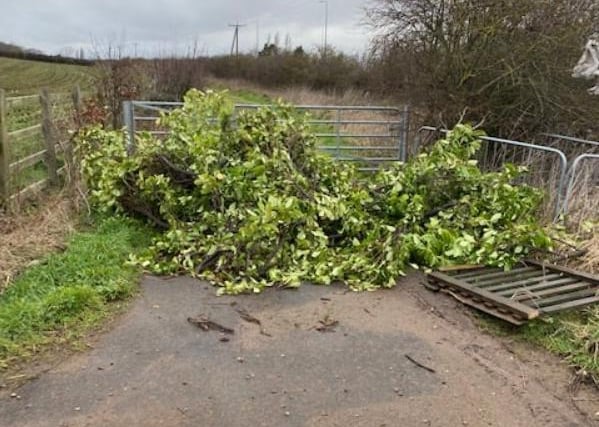 Fly-tipped trees in Cross Lane, Elkesley were cleared.