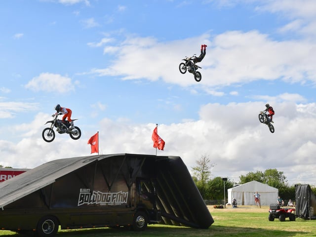 Amazing Bolddog Lings FMX Display