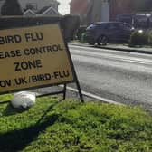 An image from the previous bird flu restrictions in 2022.