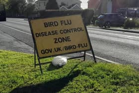 An image from the previous bird flu restrictions in 2022.
