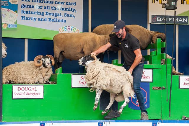 Warren Calitz, a sheep shearer from South Africa entertains the crowd with the The Sheep Show.