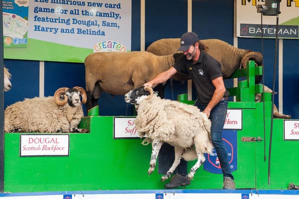Warren Calitz, a sheep shearer from South Africa entertains the crowd with the The Sheep Show.
