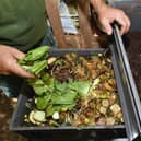 Creating compost is one budget-friendly activity for August. Picture: Remy Gabalda/AFP via Getty Images