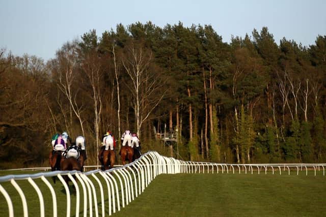 Cheltenham Festival heroine Sine Nomine set to reappear at Market Rasen this week.