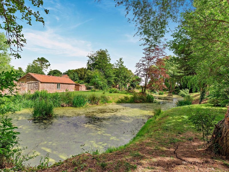 Another angle on the pond.