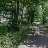 Simpkins Simpkins was driving on Cliffe Vew in South Rauceby when he collided with a tree. Photo: Google Streetview