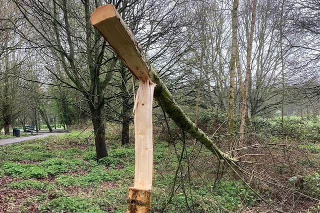 More of the damage in Witham Way Country Park. Picture: Boston Borough Council