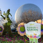 Terrific topiary at Epcot’s International Flower and Garden Festival (photo: Courtney Kiefer)