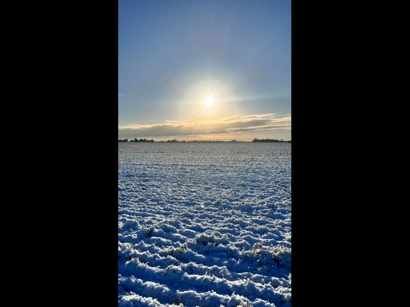 Leanne Basten's view from her front garden in Frithville this morning.
